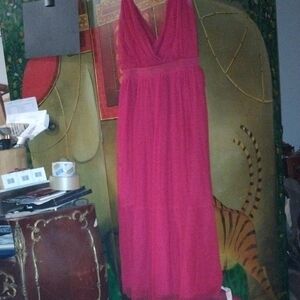 Express Vibrant Red Maxi Dress